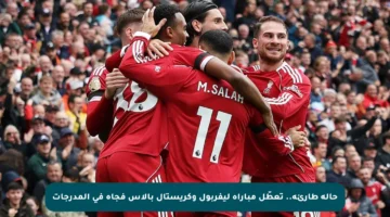 حالة طارئة.. تعطّل مباراة ليفربول وكريستال بالاس فجأة في المدرجات